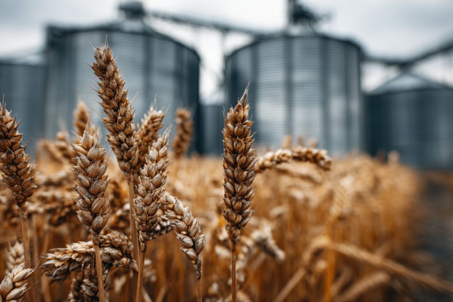 Case Study: Supplying a 1250kW Generator to Support Agricultural Operations in Pennsylvania 1 A 1250kW Katolight industrial diesel generator in a sound-attenuated enclosure for backup power at a food processing site in Birdsboro, Pennsylvania.