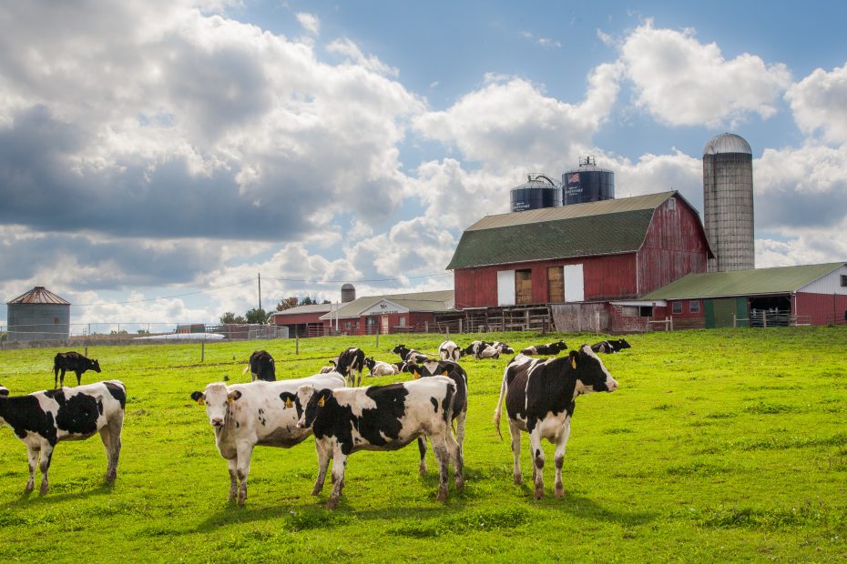 400kW Caterpillar diesel generator with sound attenuated enclosure powering dairy operations in Texas following voltage conversion and load bank testing Case Study: Delivering a 400kW Generator With Voltage Conversion for Dairy Operations in Texas